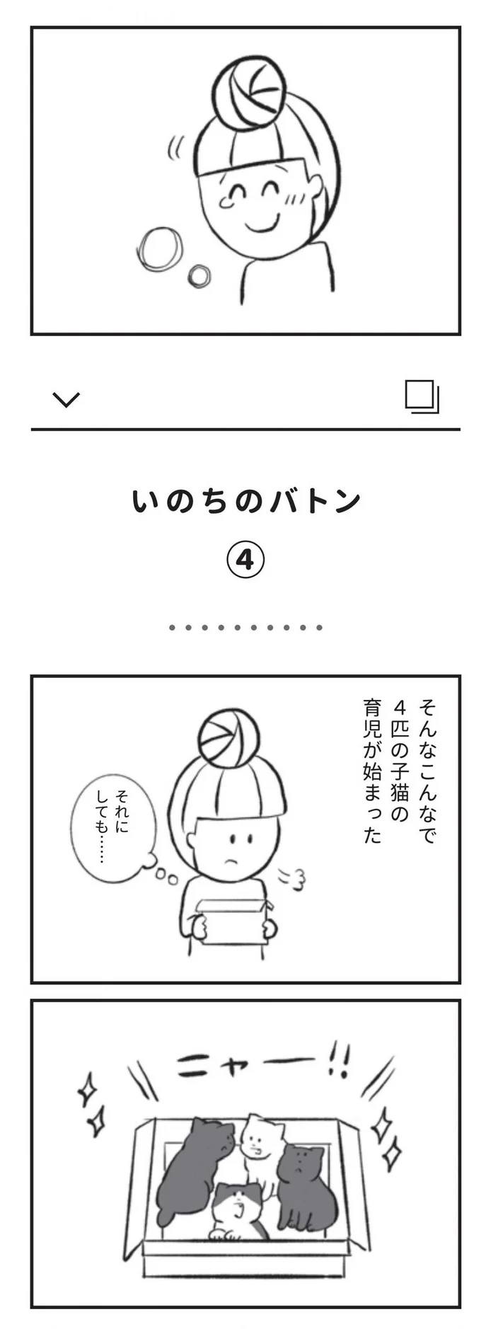 そんなこんなで４匹の子猫の育児が始まった