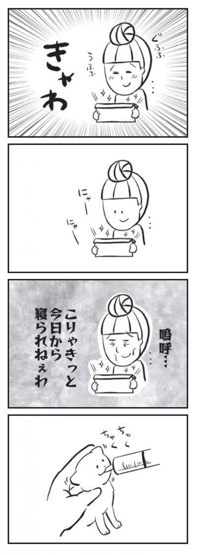 こりゃきっと今日から寝られねぇわ
