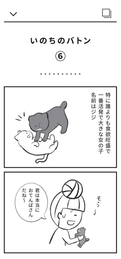 誰よりも食欲旺盛で一番活発で大きな女の子　名前はジジ