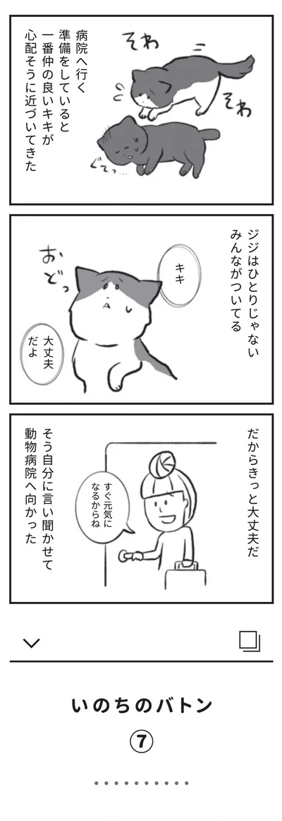 自分に言い聞かせて動物病院へ向かった