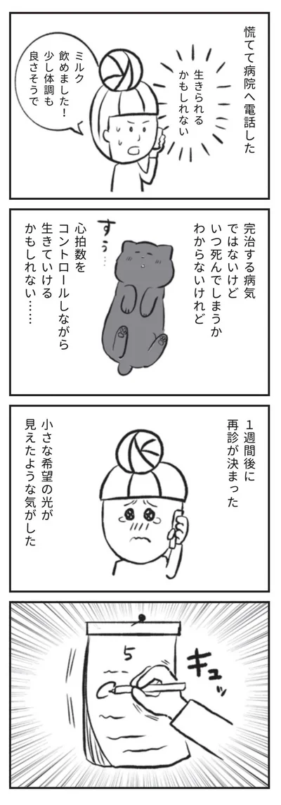 小さな希望の光が見えたような気がした