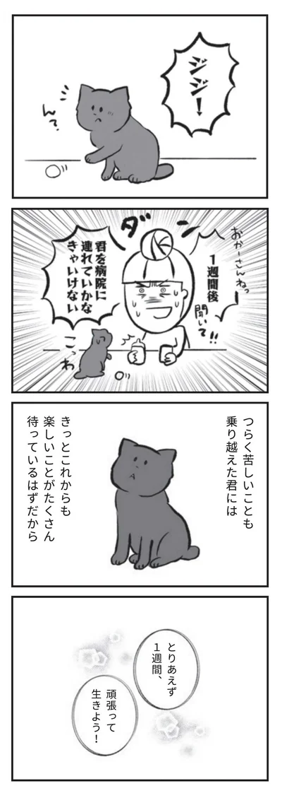 頑張って生きよう！