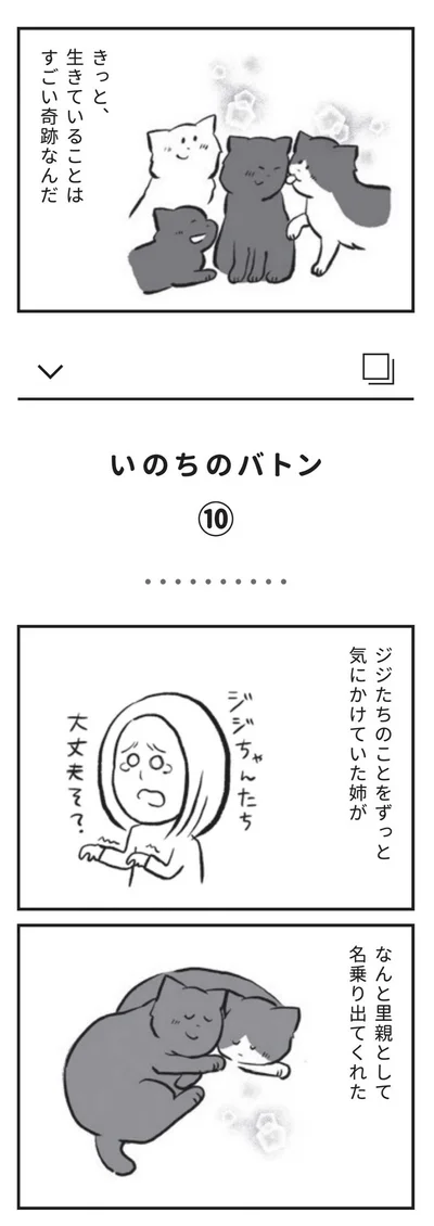 ジジたちのことをずっと気にかけていた姉がなんと里親として名乗り出てくれた