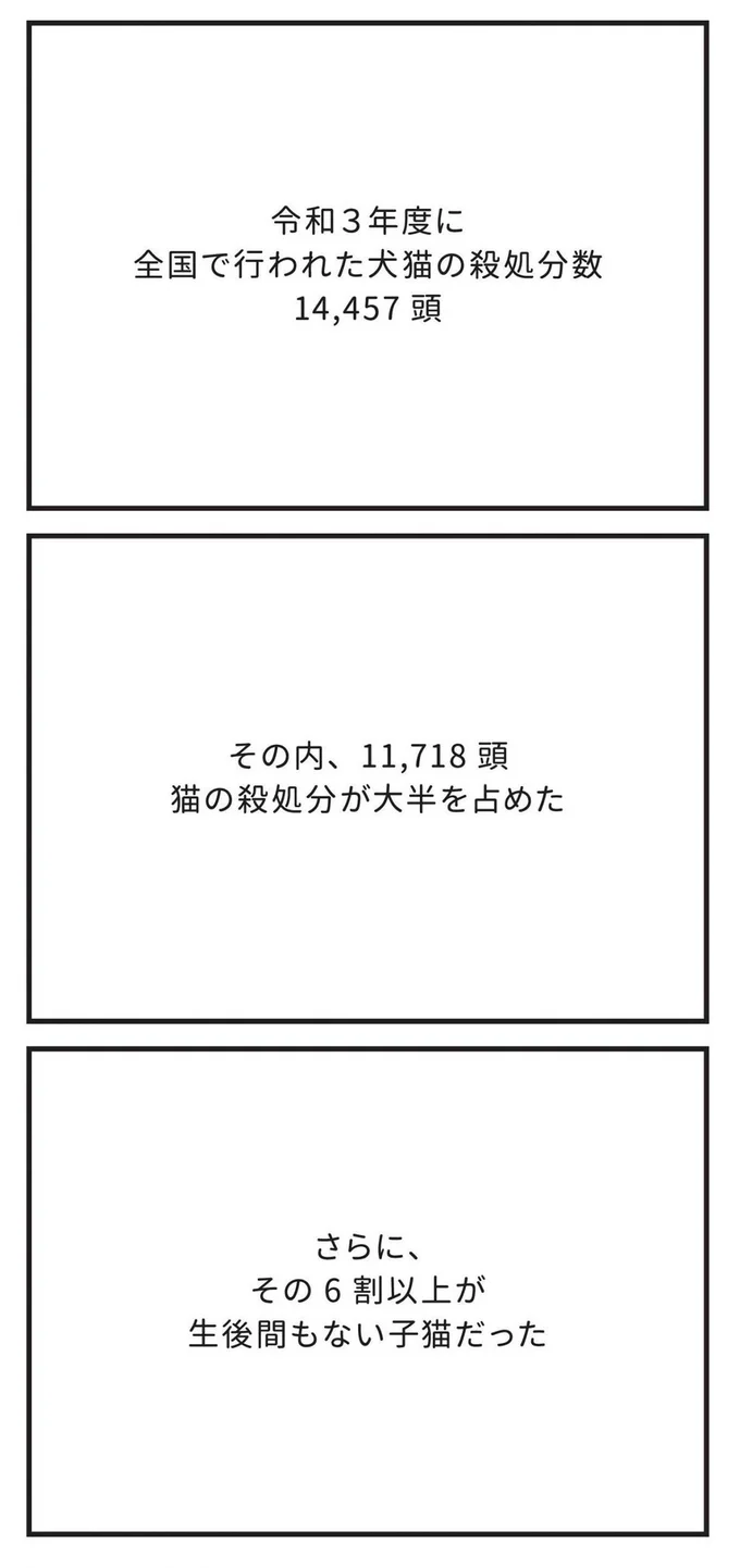 令和３年度に全国で行われた犬猫の殺処分数14,457頭