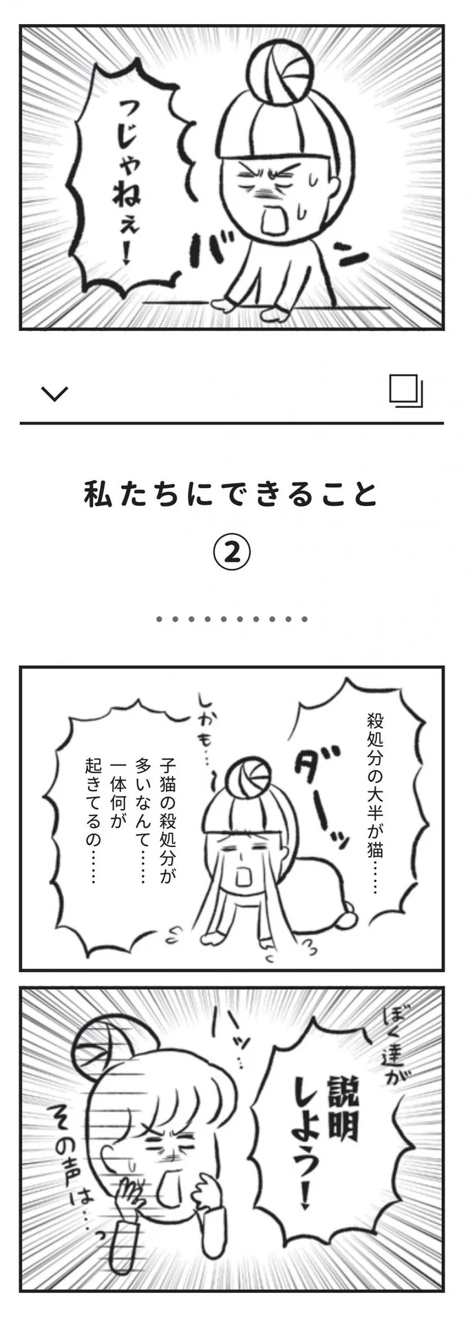 子猫の殺処分が多いなんて...一体何が起きてるの