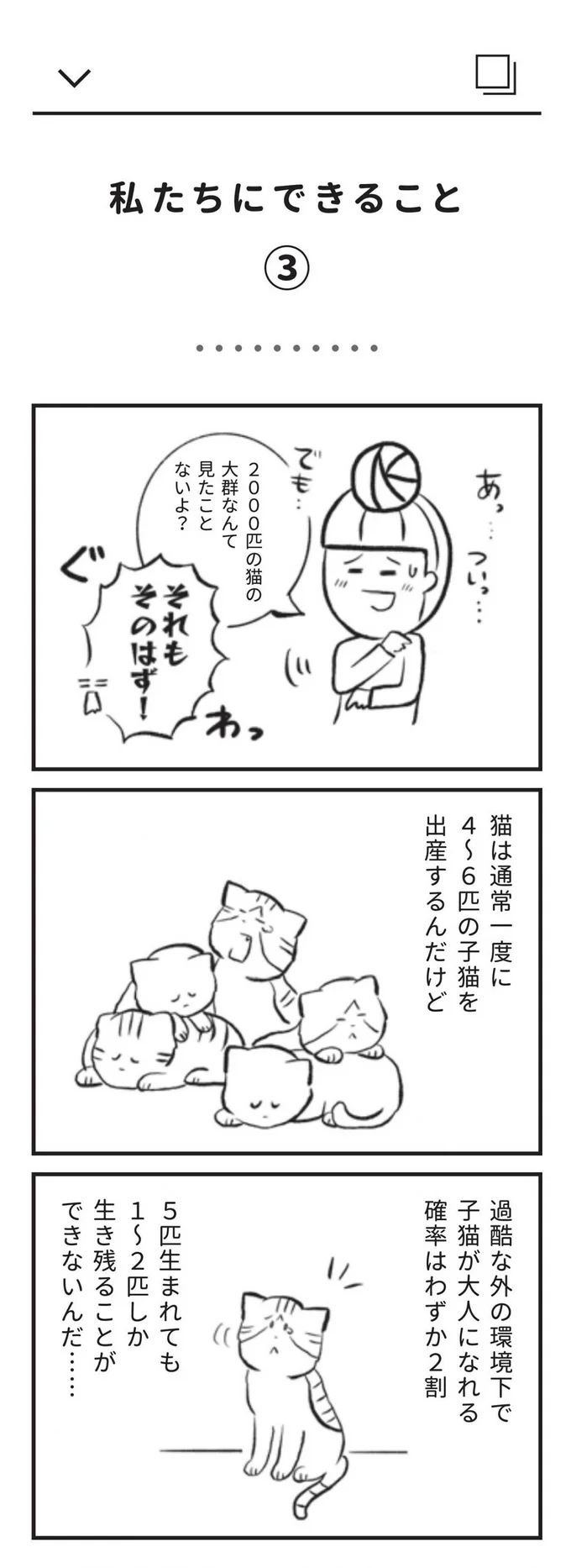過酷な外の環境下で子猫が大人になれる確率はわずか2割