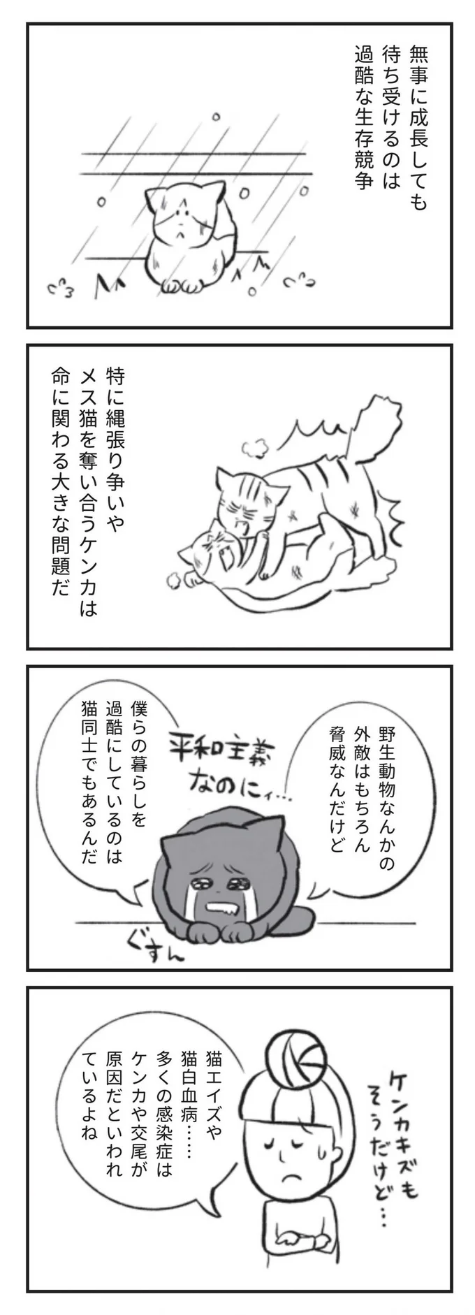 多くの感染症はケンカや交尾が原因だといわれているよね
