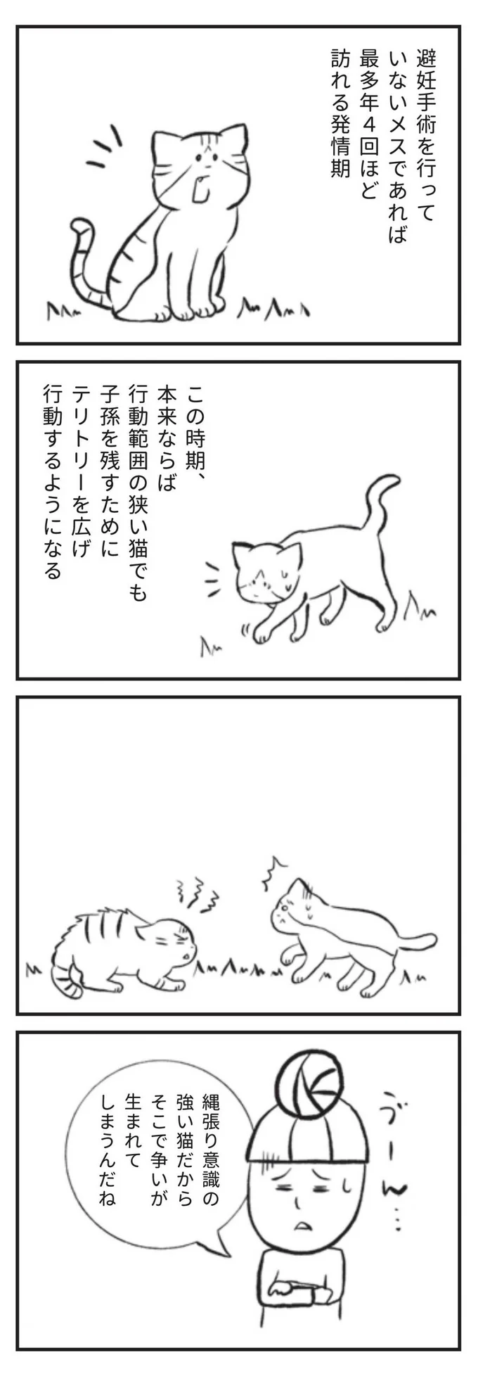 避妊手術を行っていないメスであれば最多年4回ほど訪れる発情期