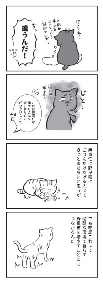 無責任は餌やりは、過酷な環境で暮らす野良猫を増やすことにもつながるんだ