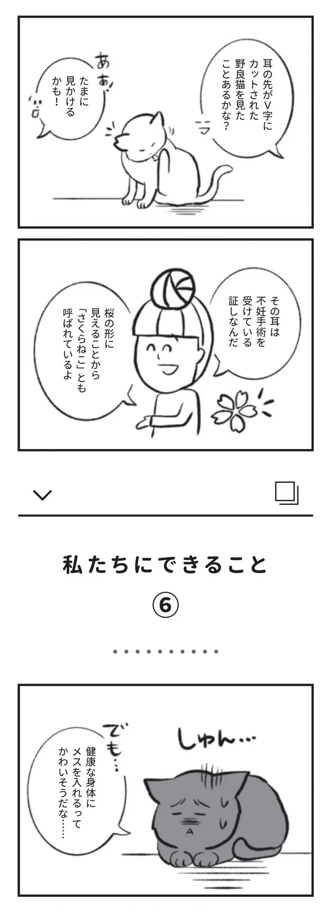 TNRって知ってる？