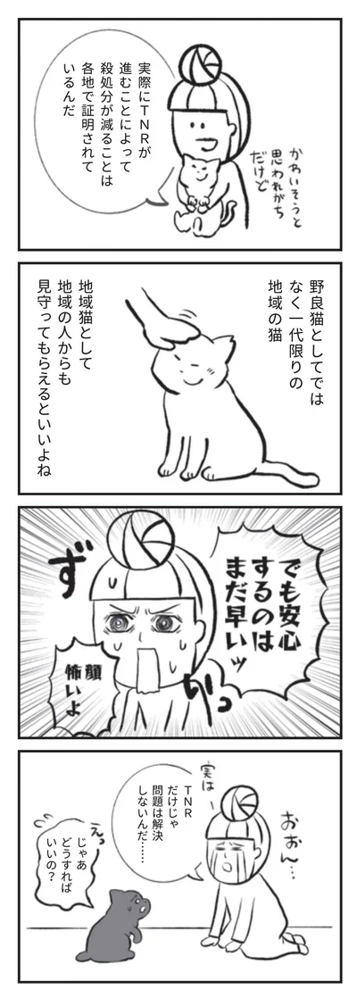 実はTNRだけじゃ問題は解決しないんだ...