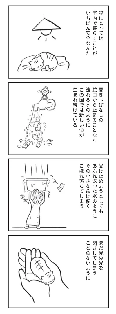 猫にとっては室内で暮らすことがいちばん安全なんだ