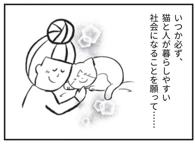 猫にまつわる悲しい現実。どうすれば猫と人が暮らしやすい社会になる？／たまさんちのホゴネコ（3）