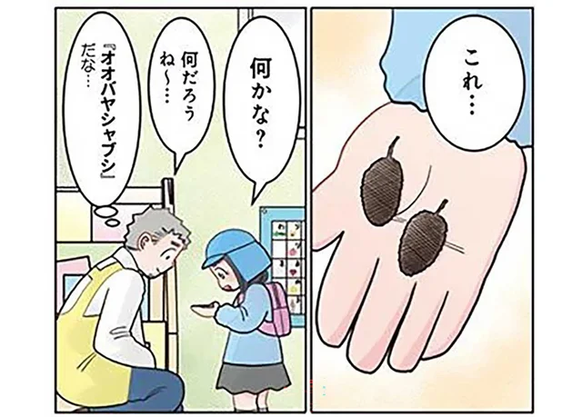 「図鑑を見てみよう」ナゾの木の実を発見した園児に提案してみたら／保育士でこ先生5（16）