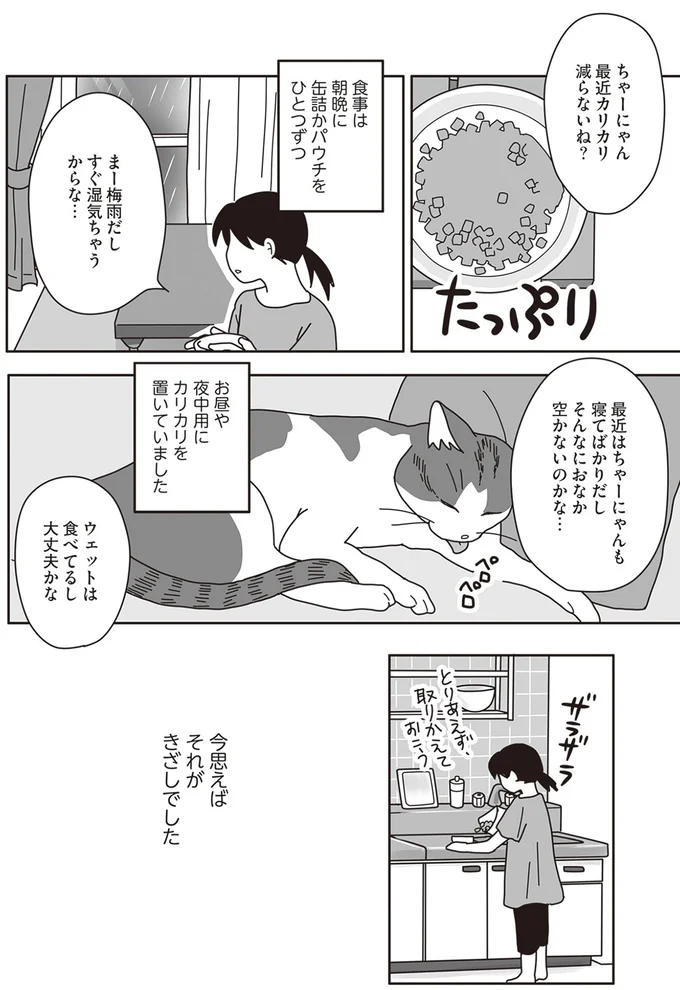 『世界一幸せな飼い主にしてくれた猫』より