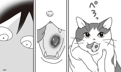 「世界一幸せな飼い主にしてくれた猫」より