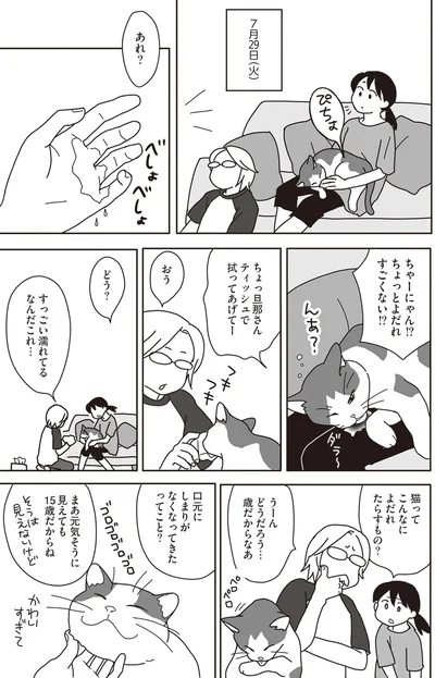 『世界一幸せな飼い主にしてくれた猫』より