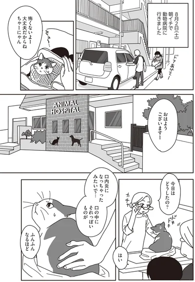 『世界一幸せな飼い主にしてくれた猫』より