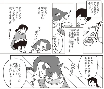 『世界一幸せな飼い主にしてくれた猫』より