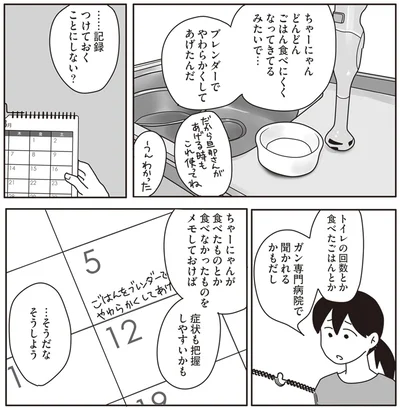 『世界一幸せな飼い主にしてくれた猫』より