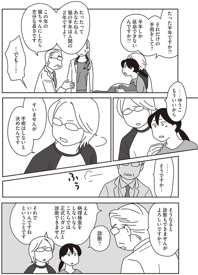 『世界一幸せな飼い主にしてくれた猫』より