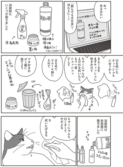 『世界一幸せな飼い主にしてくれた猫』より
