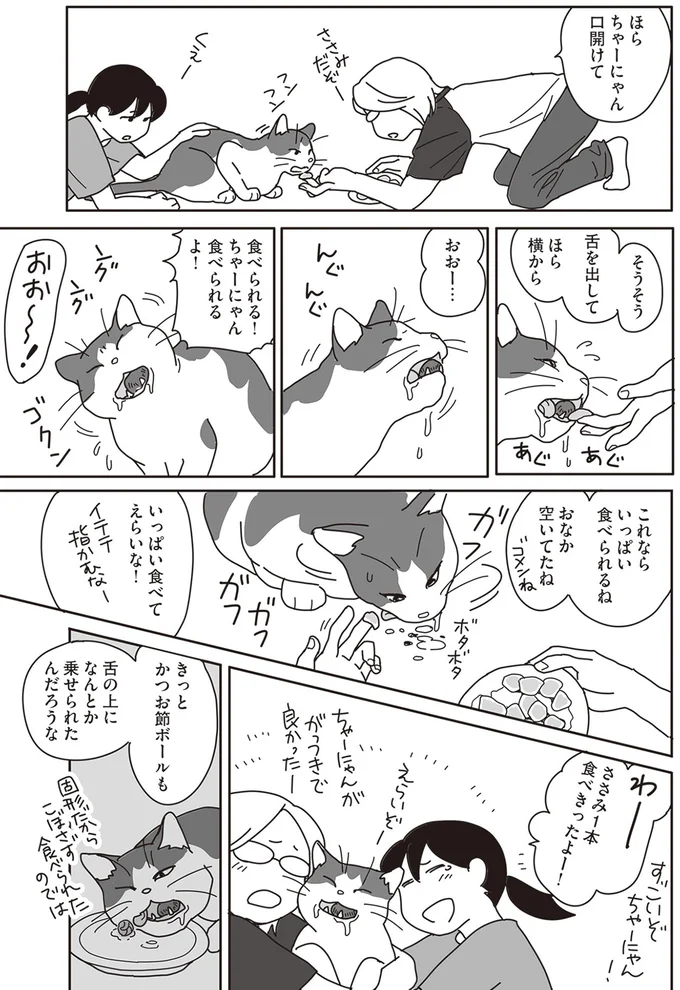 『世界一幸せな飼い主にしてくれた猫』より