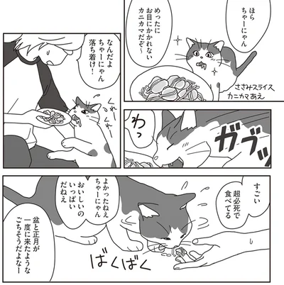 『世界一幸せな飼い主にしてくれた猫』より