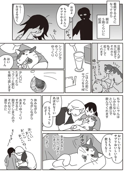 『世界一幸せな飼い主にしてくれた猫』より