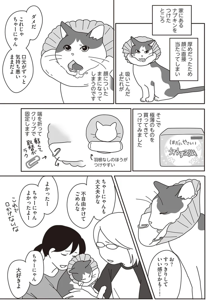 『世界一幸せな飼い主にしてくれた猫』より