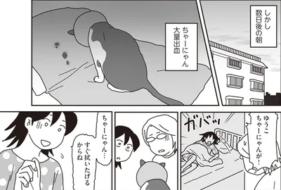 「世界一幸せな飼い主にしてくれた猫」
