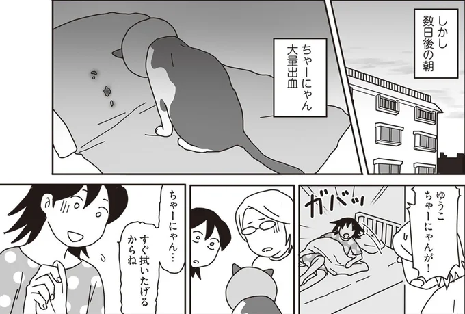「世界一幸せな飼い主にしてくれた猫」