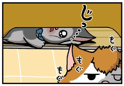 じっ…