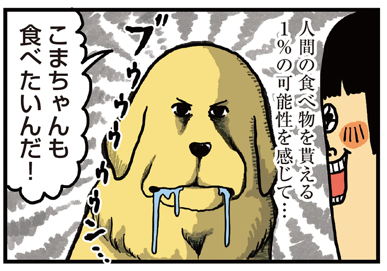 同じものが食べたい！ そんな愛犬の要求に対する飼い主の秘策／まめ