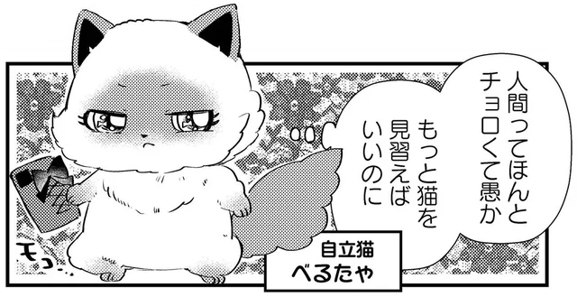 推し活資金のために猫カフェで働く猫ちゃん「人間ってチョロくて愚か！」／うちにオタクの猫がいます（15）