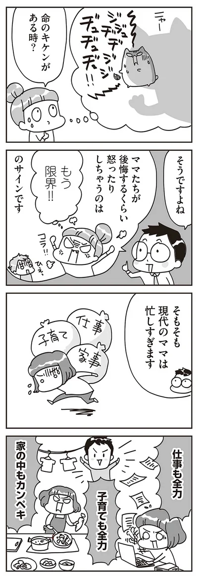 『子どもを叱りつける親は失格ですか？』より