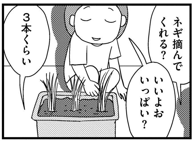 ネギ摘んでくれる?