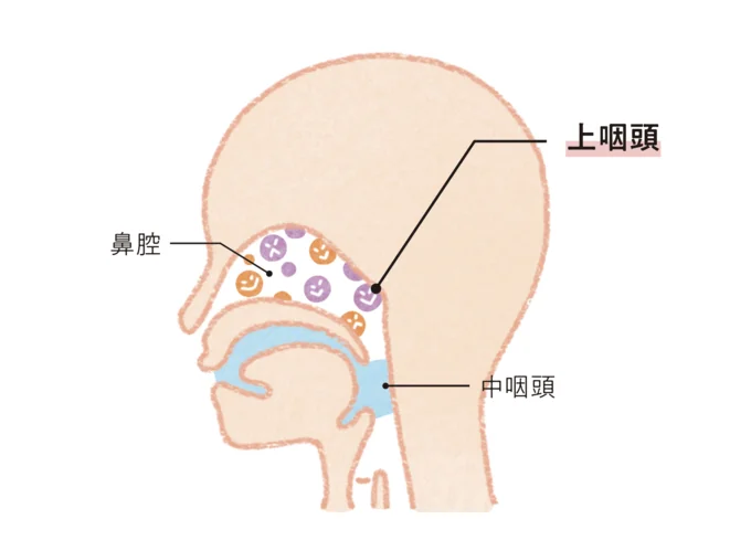 口うがい