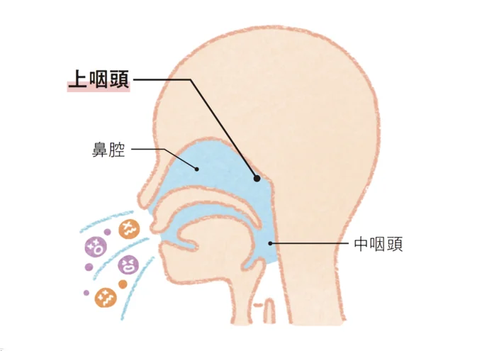 鼻うがい