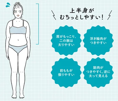 上半身がむちっとしやすい！