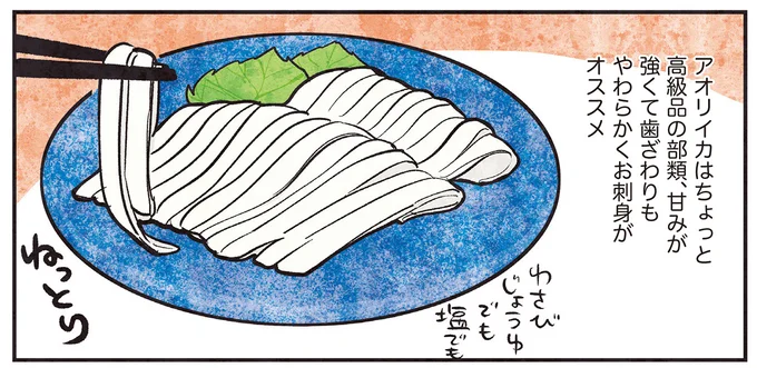 アオリイカはお刺身がオススメ
