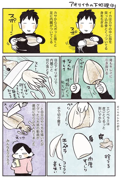 アオリイカの下処理例