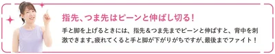 指先、つま先はピーンと伸ばし切る！