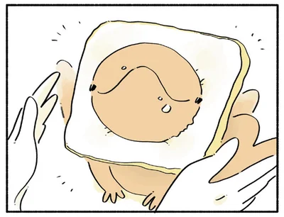 装着