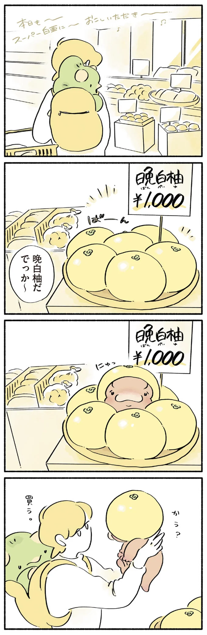 晩白柚だ　でっか～
