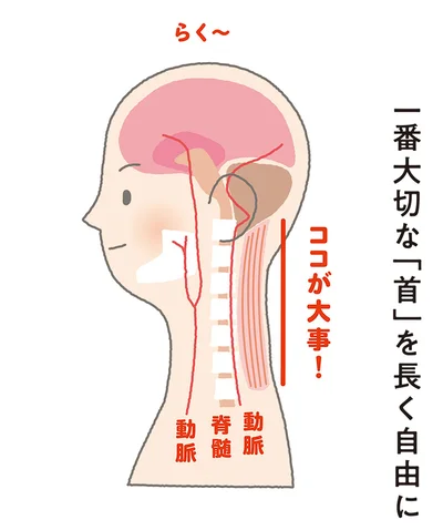 一番大切な「首」を長く自由に