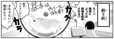 きちゃない！！散歩ムリ！！