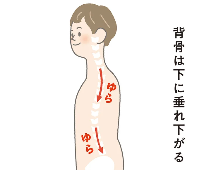 背骨は下に垂れ下がる