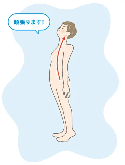 背骨をピンと伸ばして