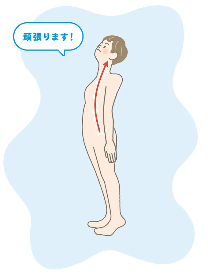 背骨をピンと伸ばして